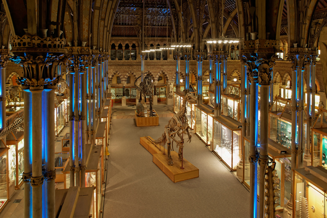 Dinosaurs in the main court in the Museum