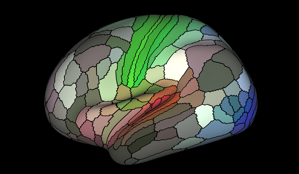 By using a computer algorithm to match data sets from different scanning methods and conditions, scientists can identify more detail than ever before about the function of different brain regions. 
Image: Matthew F Glasser and David C Van Essen