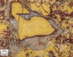 Colourless 'sparry' calcite filling a fossil shell