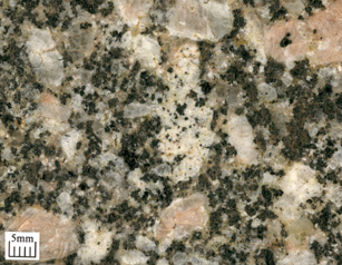 Dark brown biotite