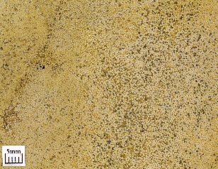 Oolitic limestone