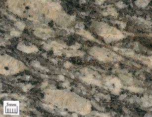 Gneiss