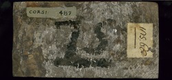 bottom view of stone 487
