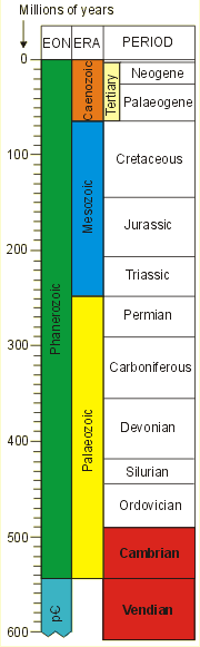 The geological timescale
