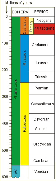 The geological timescale