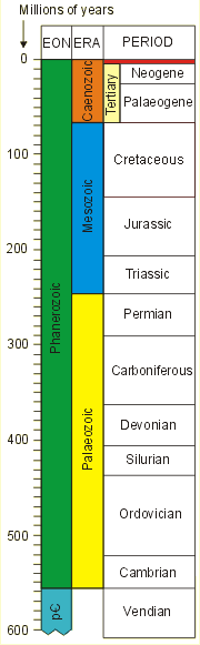 The geological timescale