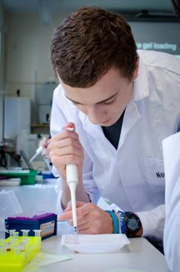 A Level students in the lab