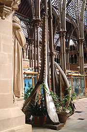 The jaw bone of sperm whale