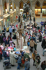 A family activity in the main court