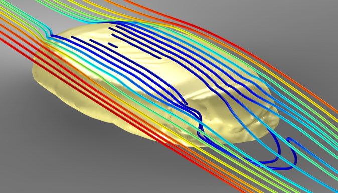Computer simulation of water flow around Protocinctus mansillaensis