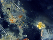 Space