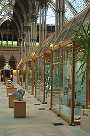 The rocks and minerals aisle in the main court