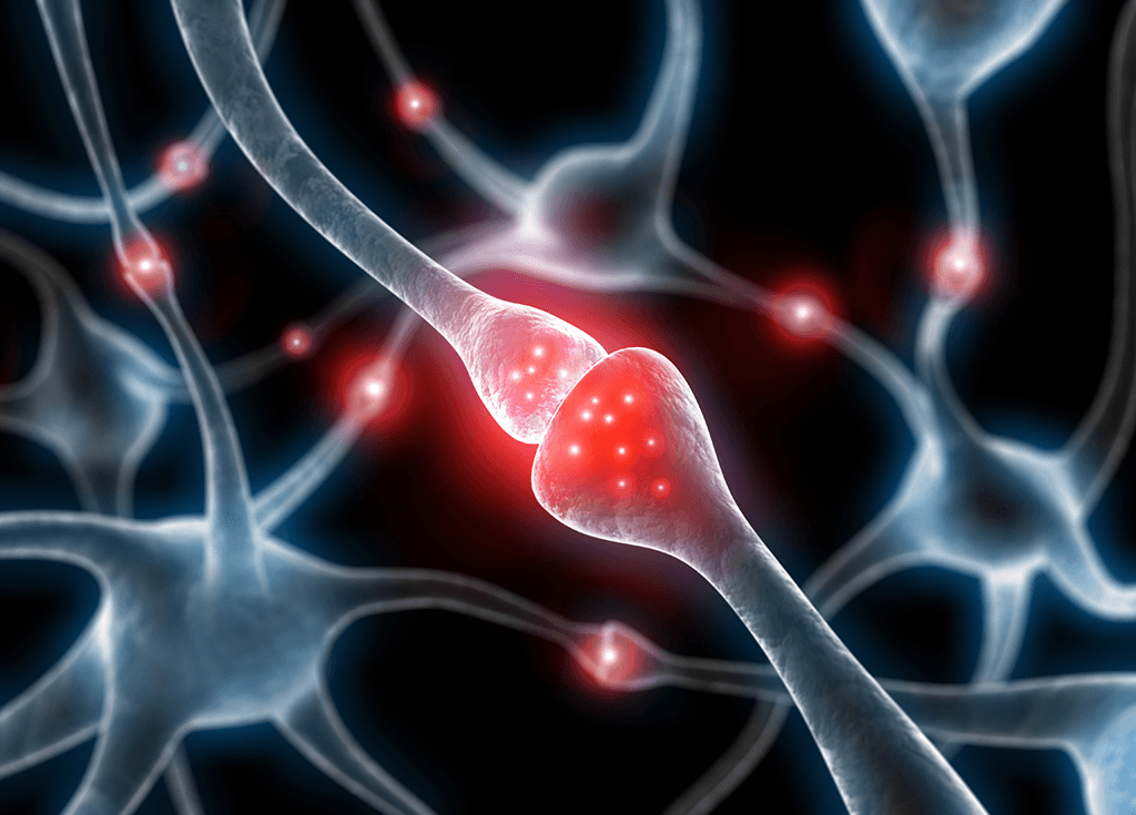 When the signal reaching a neuron is strong enough, it triggers the next neuron to transmit the information. 