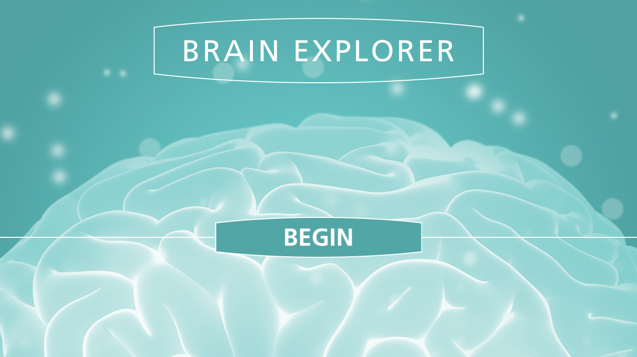 Click above to launch the Brain Explorer