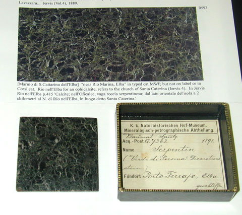 A specimen in the Vienna collection (below) and Corsi’s specimen (above) confirm Corsi’s identification.