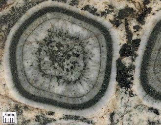 Circular banding in an orbicular granite