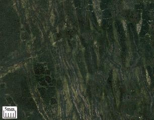 Reticulated (net-like) array of veins in serpentinite