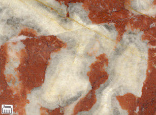 Stromatactis in a Devonian limestone