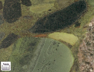 Metaconglomerate