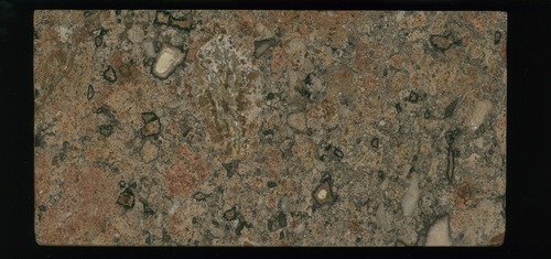 Corsi Collection of Decorative Stones - Stones